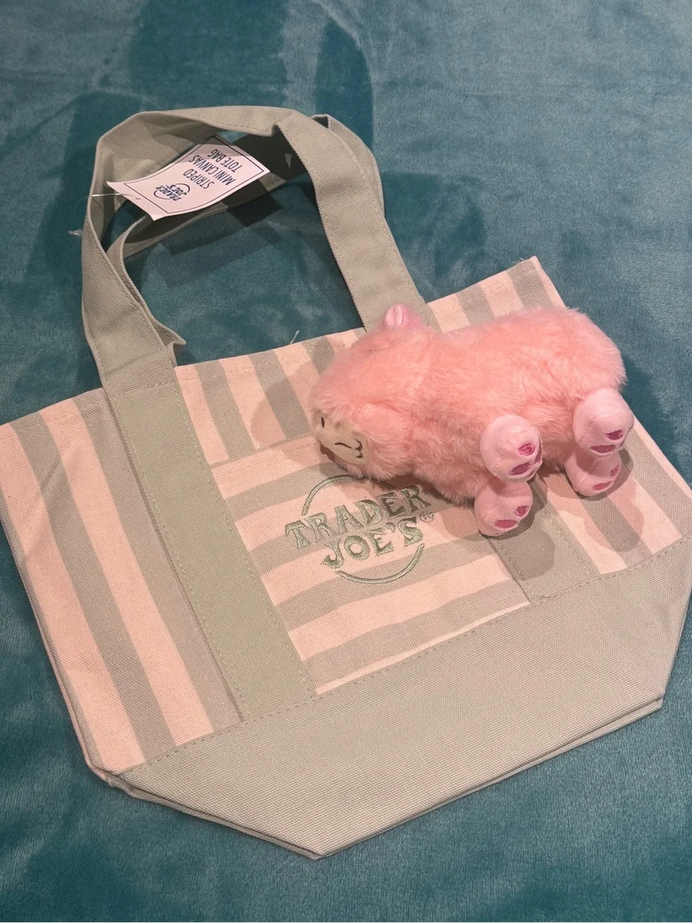 Capybara Plushie Bag Charm by Capy-Era - Pink